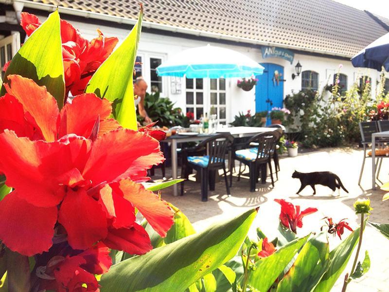 Myrehoj Bed & Breakfast Eskebjerg Экстерьер фото